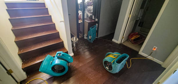 Best Water damage cleanup near me  in Yeadon, PA