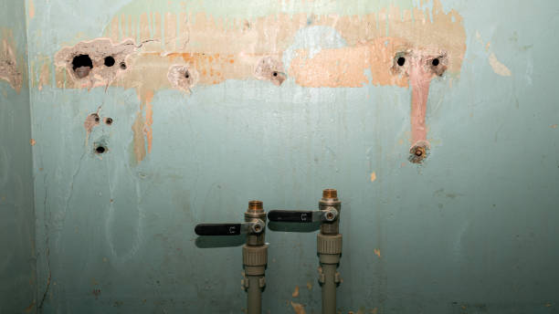 Best Emergency water damage restoration  in Yeadon, PA
