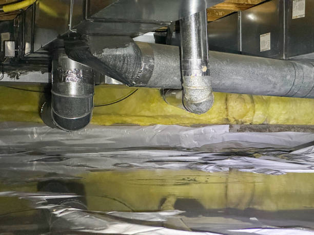 Best Mold removal after water damage  in Yeadon, PA