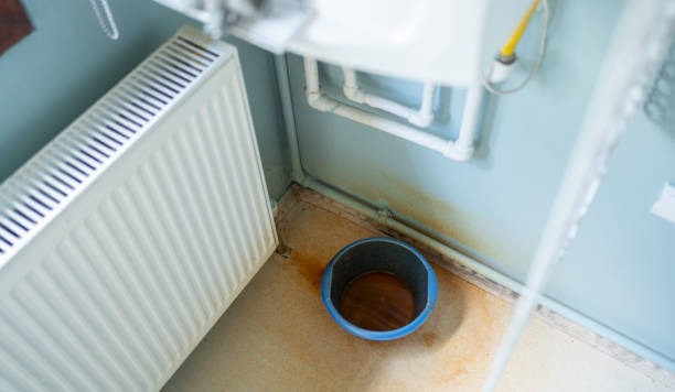 Best Ceiling water damage repair  in Yeadon, PA